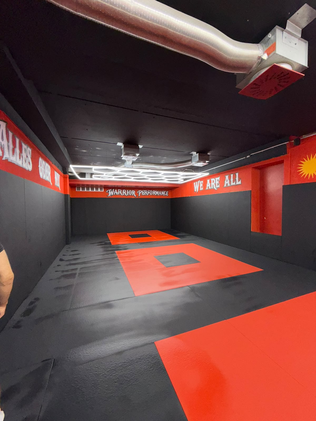 Taifur Gym Mattenfläche Perspektive
